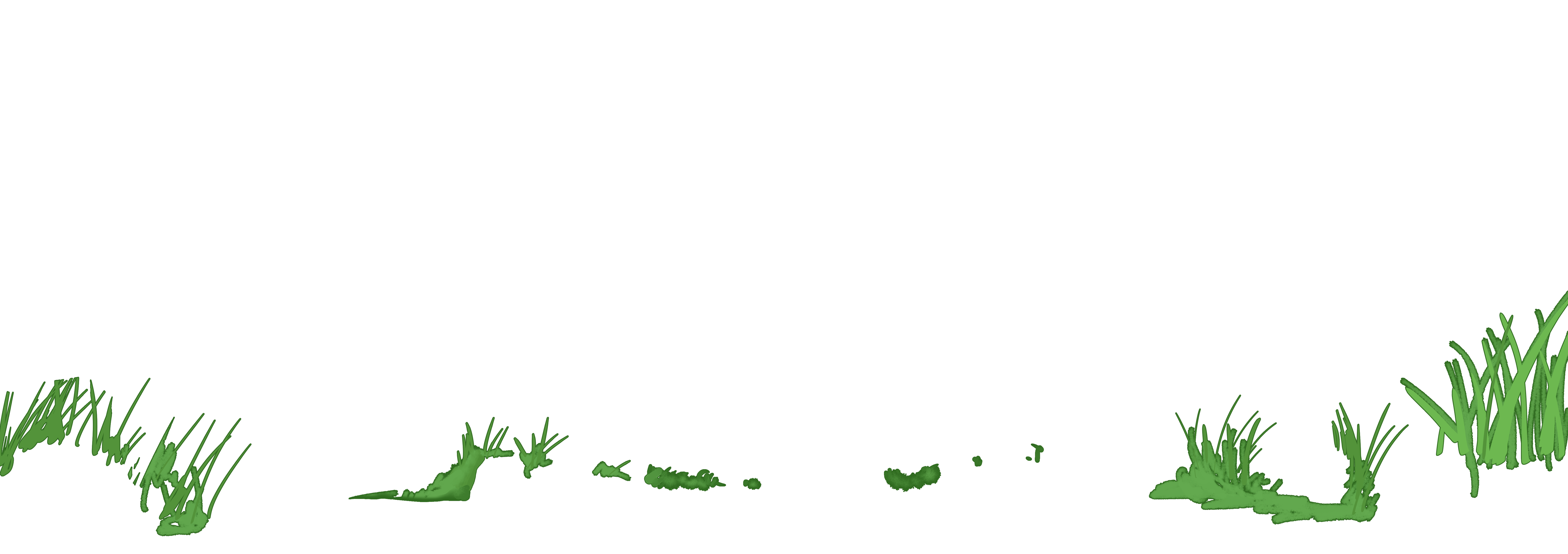 Grass