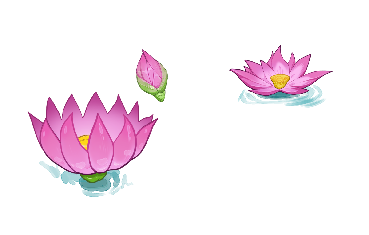 Lotus Flower